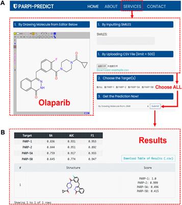 A multi-task FP-GNN framework enables accurate prediction of selective PARP inhibitors